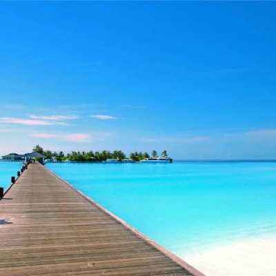 一分三快app截图